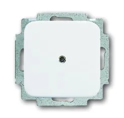 Universal Busch Jaeger Blindzentralscheibe 2538-214 Alpinweiss Busch Reflex SI