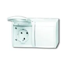 Universal Busch Jaeger Schuko-Steckdose 2fach 20/2 EW-54 Alpinweiß Waagerecht Ocean Aufputz