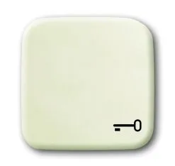 Universal Busch Jaeger Wippe Symbol Schlüssel 2520 TR-212 Weiss Busch Duro 2000 SI