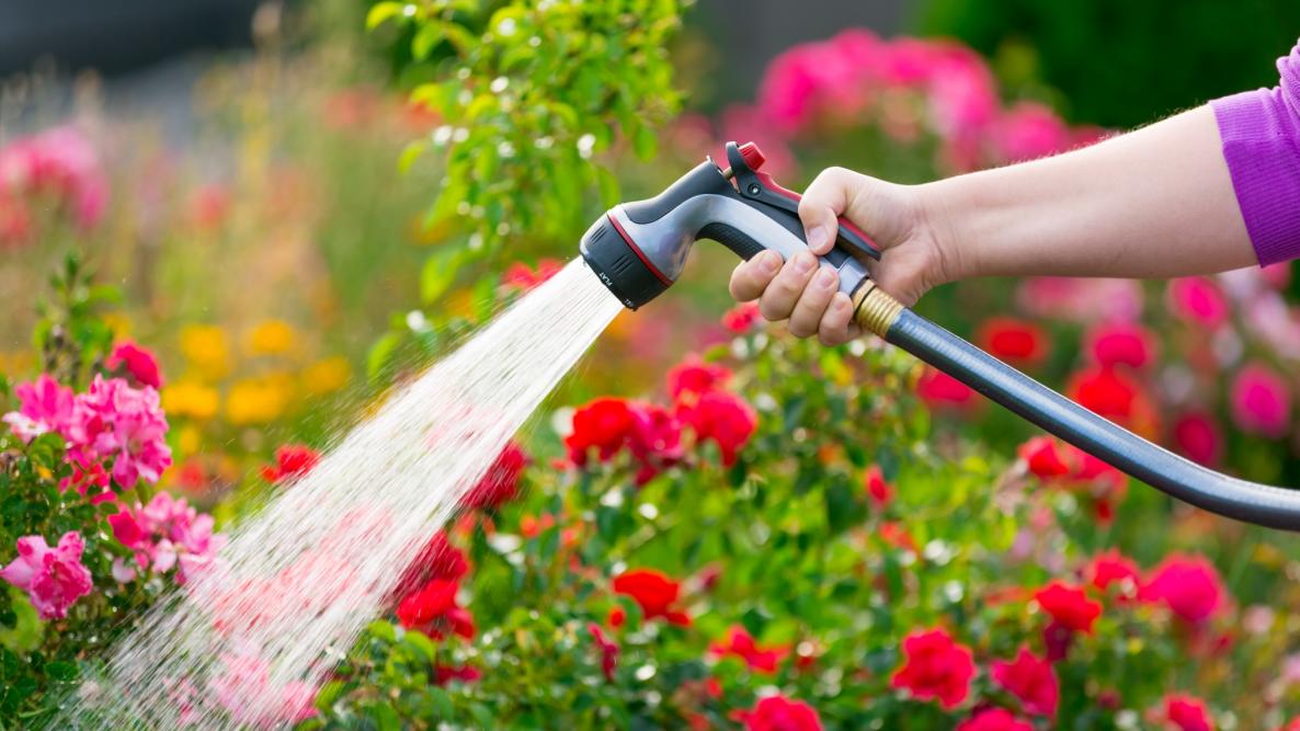 Werkzeug Verkaufsgeschäft -Werkzeug Verkaufsgeschäft watering flowers shutterstock 403068514
